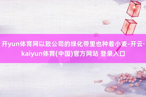开yun体育网以致公司的绿化带里也种着小麦-开云·kaiyun体育(中国)官方网站 登录入口