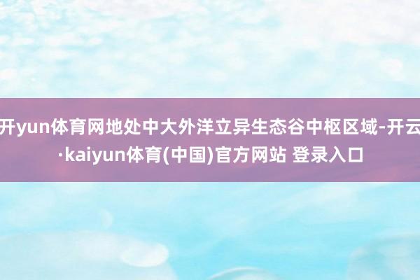 开yun体育网地处中大外洋立异生态谷中枢区域-开云·kaiyun体育(中国)官方网站 登录入口