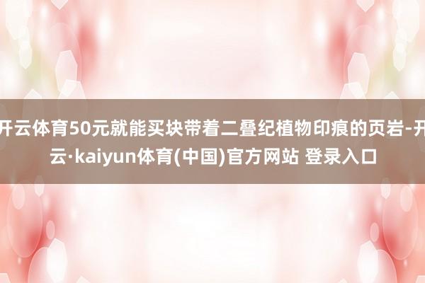 开云体育50元就能买块带着二叠纪植物印痕的页岩-开云·kaiyun体育(中国)官方网站 登录入口