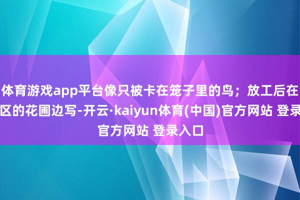 体育游戏app平台像只被卡在笼子里的鸟;放工后在工业区的花圃边写-开云·kaiyun体育(中国)官方网站 登录入口