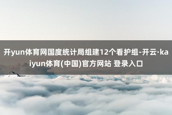 开yun体育网国度统计局组建12个看护组-开云·kaiyun体育(中国)官方网站 登录入口